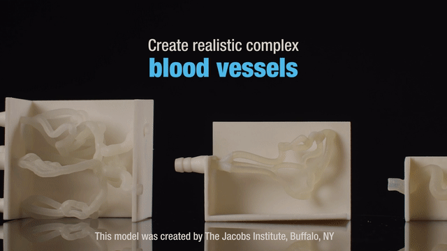 xDCEYQDU4rVPpY9uYHJMed